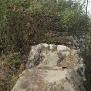 Dettaglio foto 15