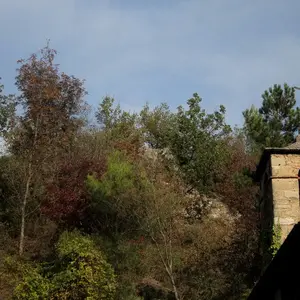 Dettaglio foto 12