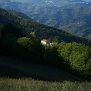 Bovecchia