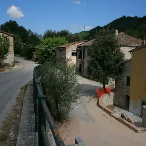 Arena