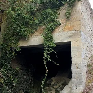 Dettaglio foto 6