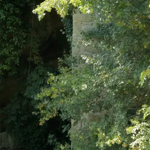 Dettaglio foto 3