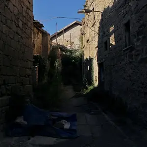 Dettaglio foto 4