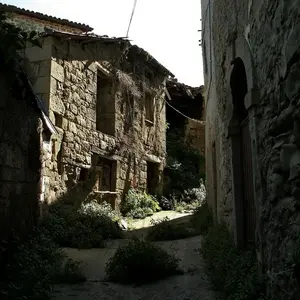 Dettaglio foto 6