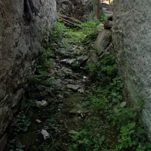 Dettaglio foto 7