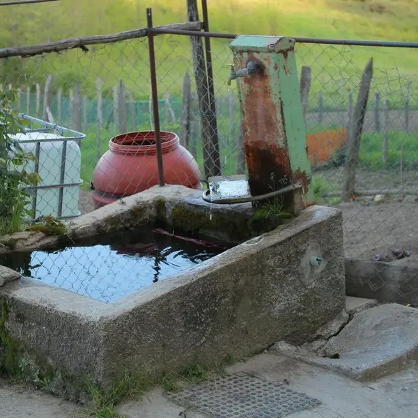 Fonte