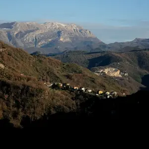 Forcella