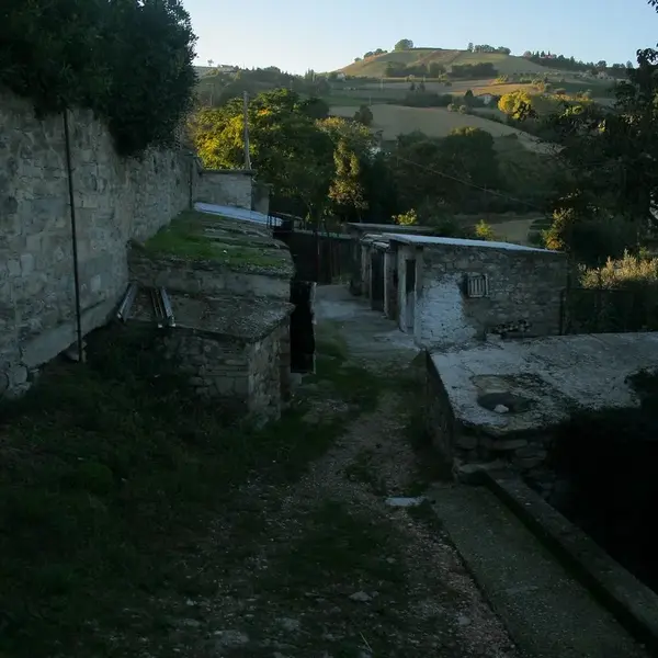 Rotella