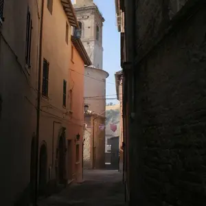 Dettaglio foto 15