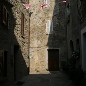 Dettaglio foto 12