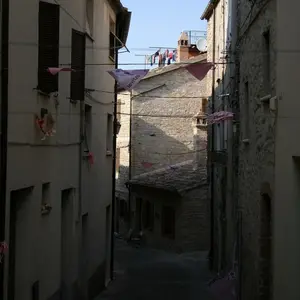 Dettaglio foto 10
