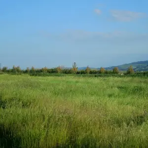 Dettaglio foto 7