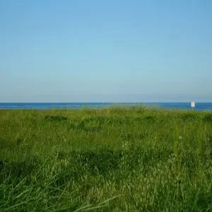 Dettaglio foto 9