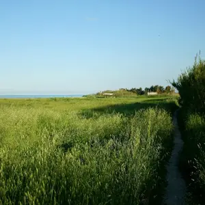 Dettaglio foto 6