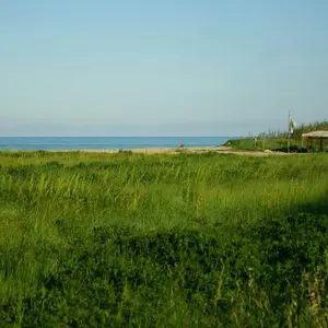 Dettaglio foto 10