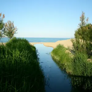 Riserva Naturale Regionale Sentina