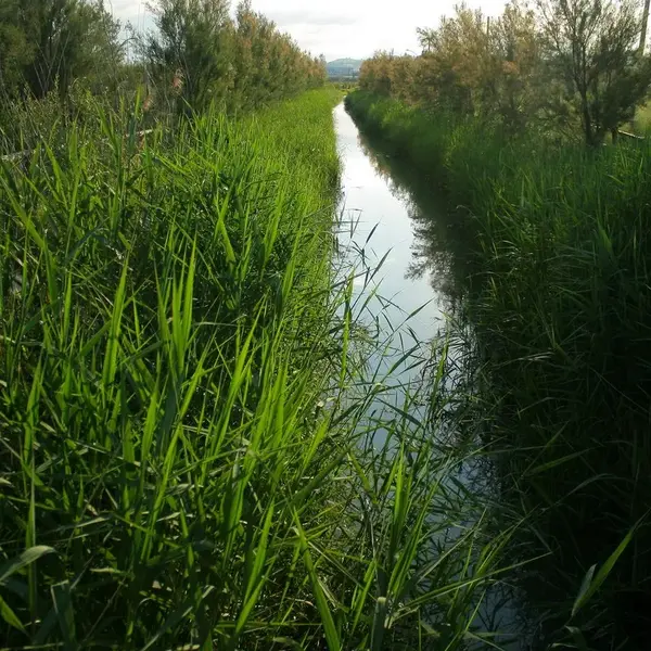 Riserva Naturale Regionale Sentina