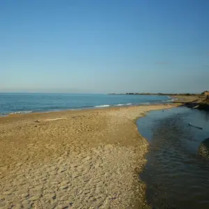 Dettaglio foto 8