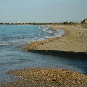 Dettaglio foto 4