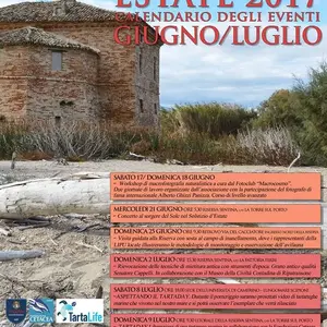 Dettaglio foto 1