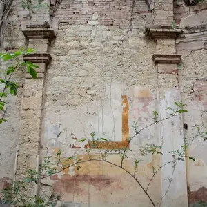 Dettaglio foto 7