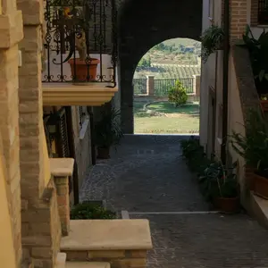 Dettaglio foto 2