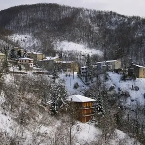 Basto