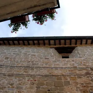Dettaglio foto 3