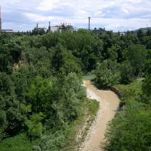 Area 21