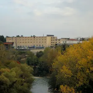Dettaglio foto 2