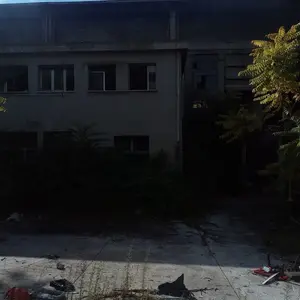Dettaglio foto 3