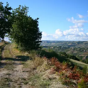 Fonte Pezzana