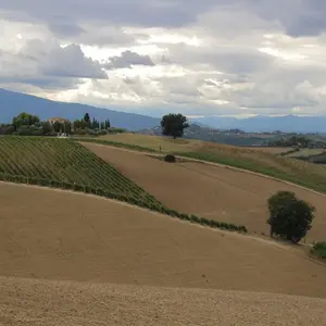 Casarica