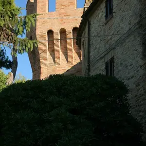 Dettaglio foto 2