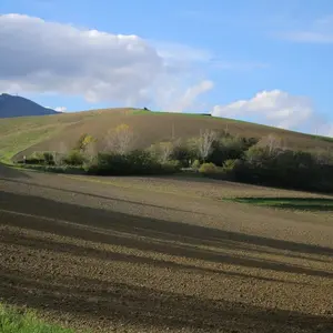 Colle Morecchione
