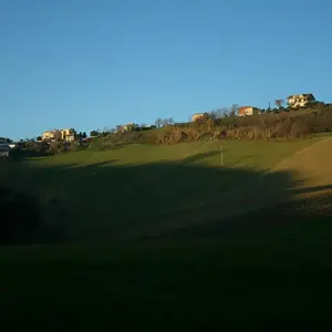 Castiglioni