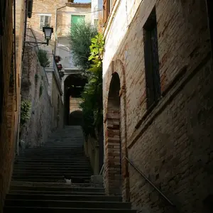 Dettaglio foto 15