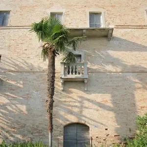 Dettaglio foto 5