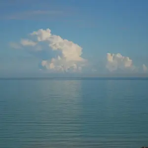 Dettaglio foto 3