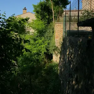 Dettaglio foto 2