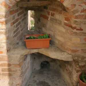 Dettaglio foto 3