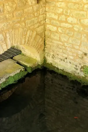 Dettaglio