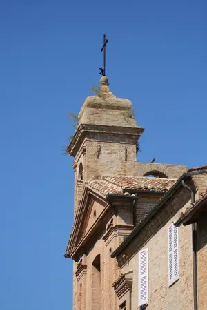 Dettaglio