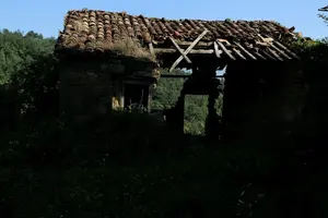 Dettaglio