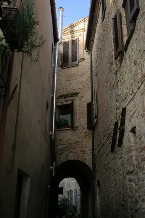 Dettaglio