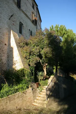 Dettaglio