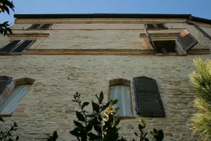 Dettaglio
