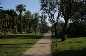 Dettaglio