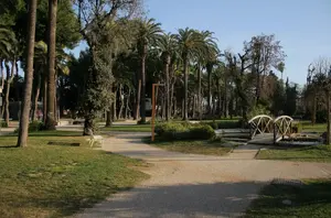 Dettaglio