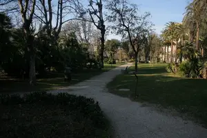 Dettaglio